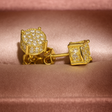 EDDI Øreringe med Zirkon